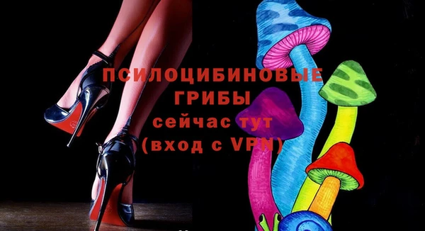 дмт Аркадак