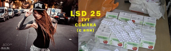 трава Арсеньев