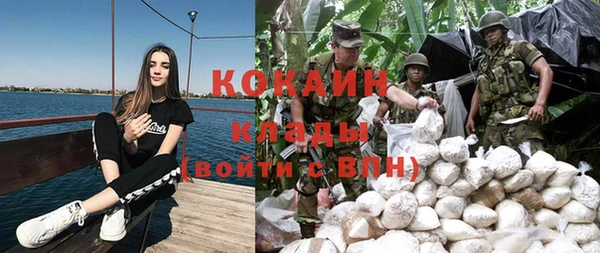 дмт Аркадак